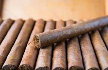 How to taste a cigar?