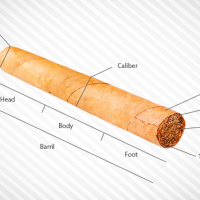 Parts of a cigar